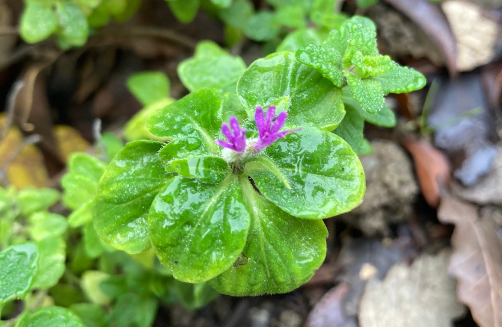 Amazing signs of&nbsp;life