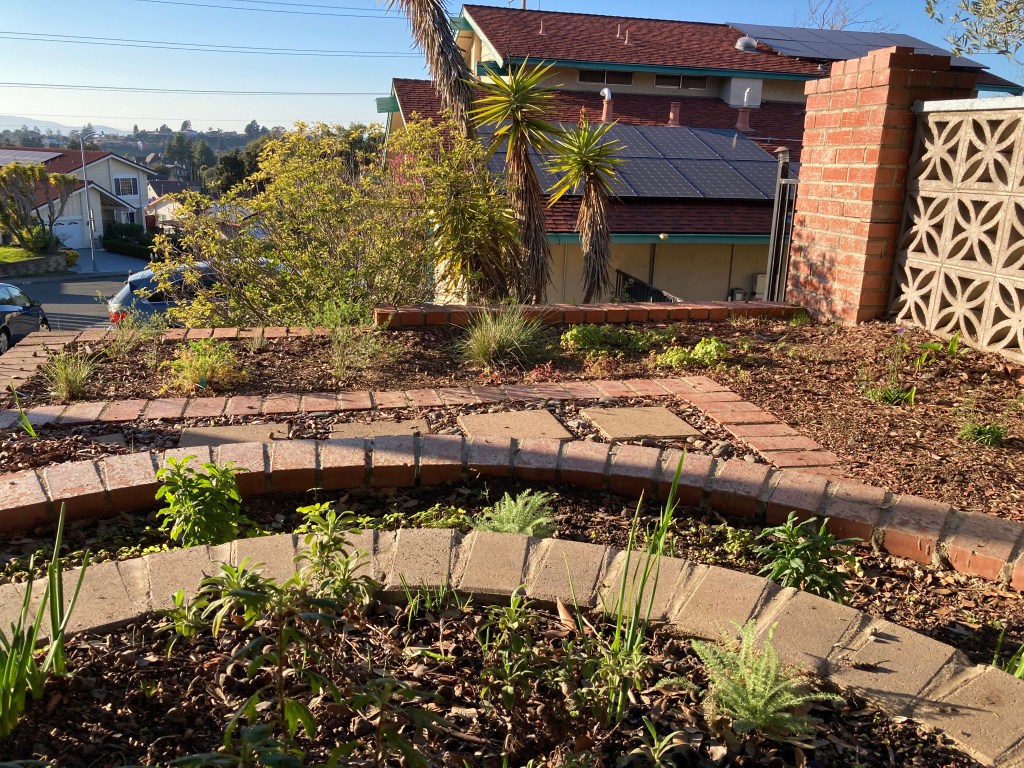 What’s next? Some of the native plant projects on my&nbsp;list