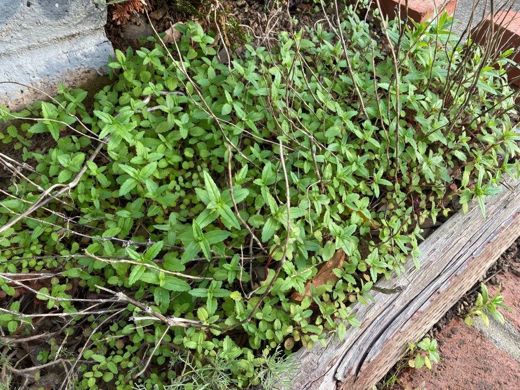 Tiny victories and more&nbsp;questions