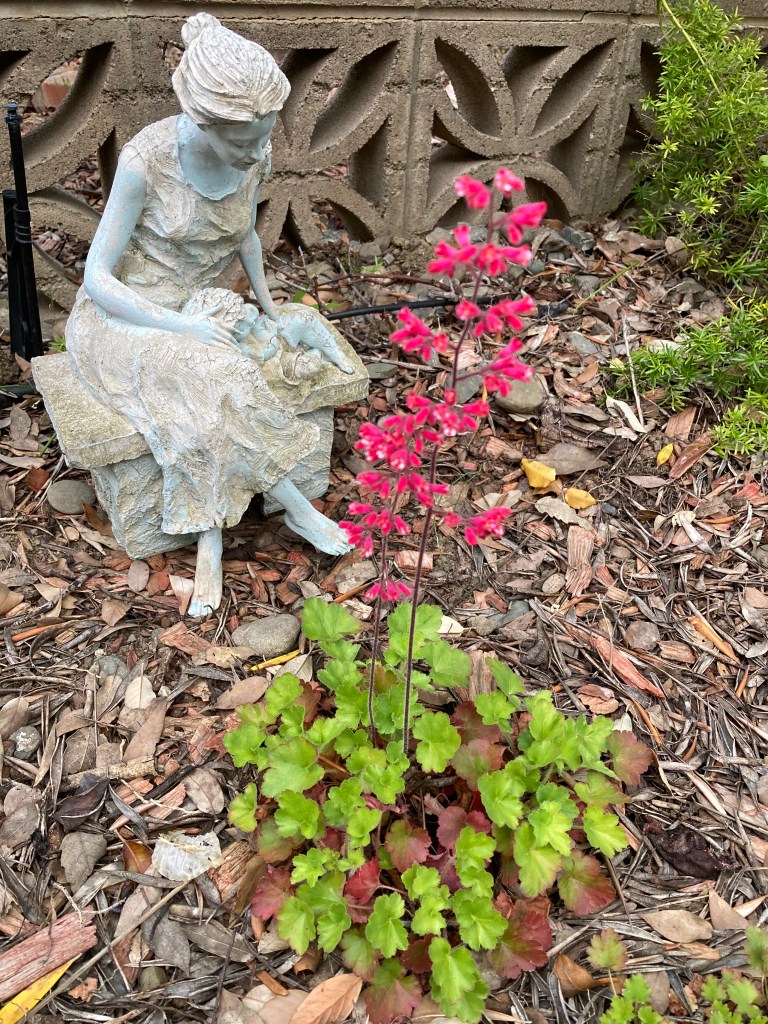 Photo of a small plant in the foreground with tall spears of small bright pink flowers emerging from a bed of lime green and reddish rounded leaves. There are brown wood chips and dead leaves on the ground next to the plant and a small resin statue of a woman seated on a bench, her legs crossed, barefoot, wearing a loose sundress, her hair tied back in a loose bun. There is a small child asleep on her lap, and she has her hands laid on the child tenderly.