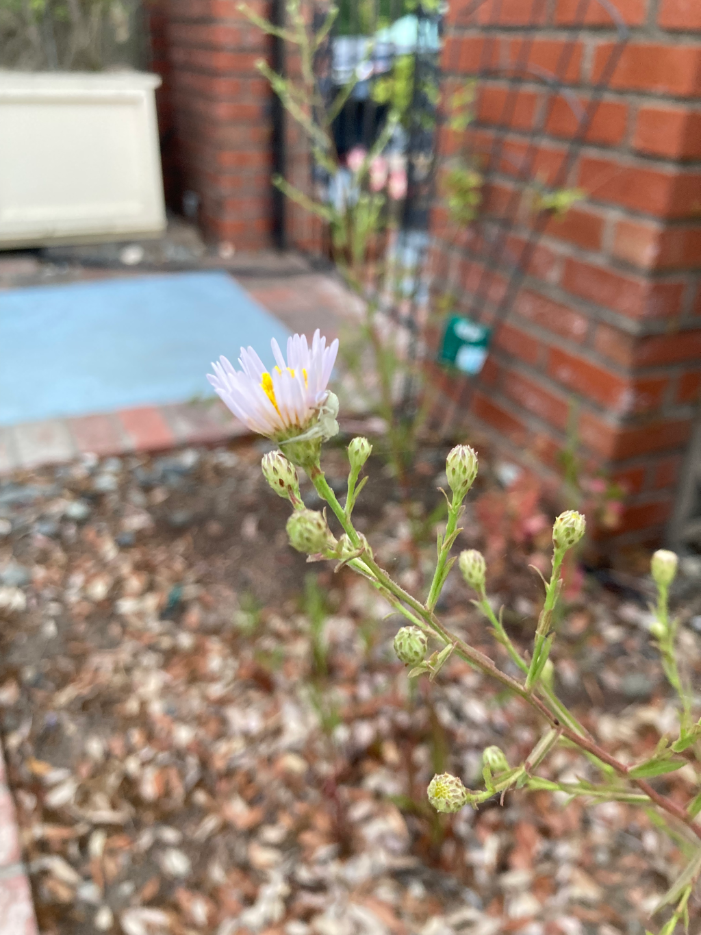 It’s not just about the&nbsp;plants